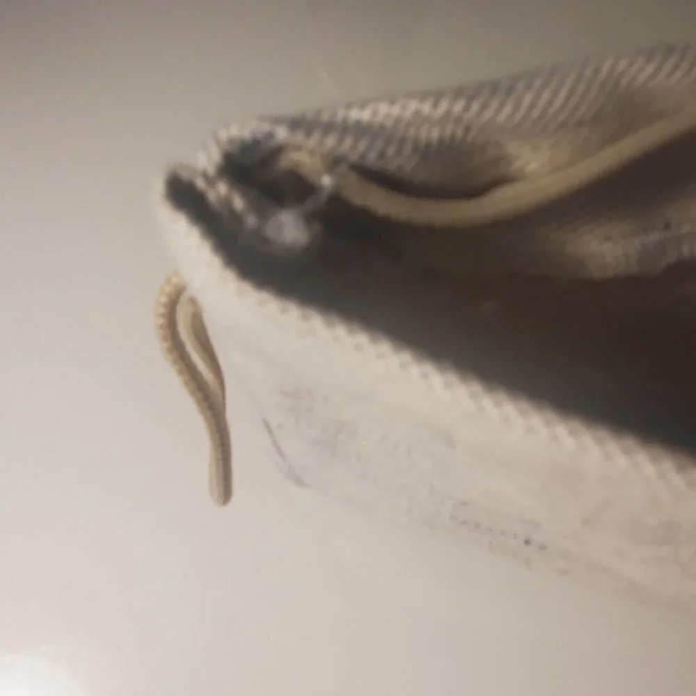N/A new woven